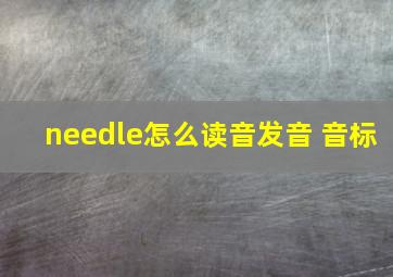 needle怎么读音发音 音标